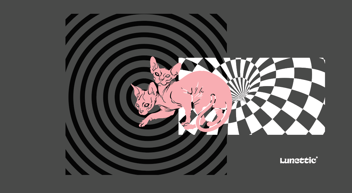 Overlapping circular forms in pink and charcoal